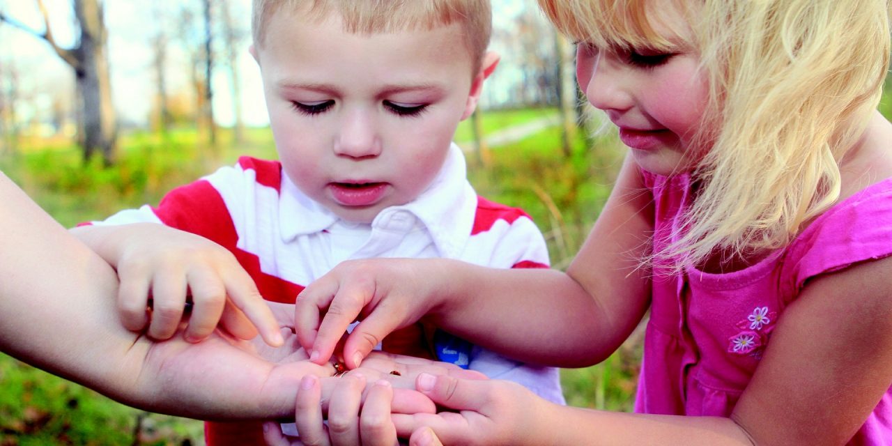 Child Afraid Of Flying Insects