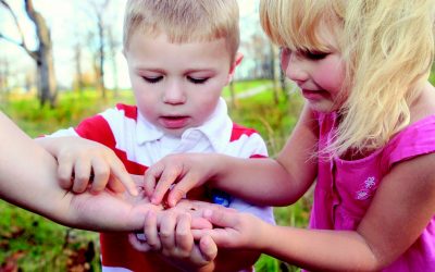 Child Afraid Of Flying Insects