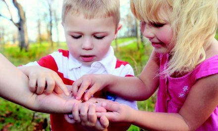 Child Afraid Of Flying Insects